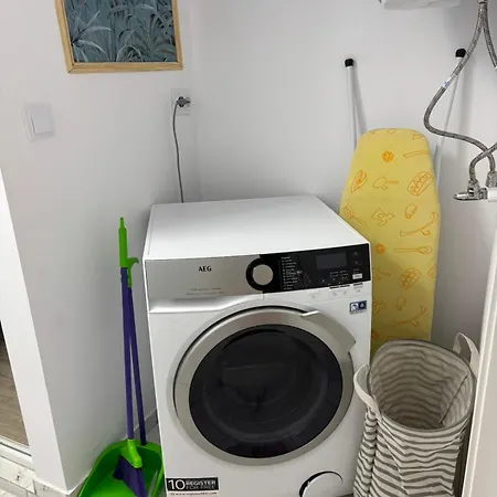 White House - Forest