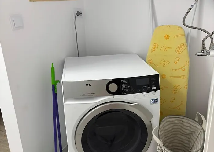 White House - Forest