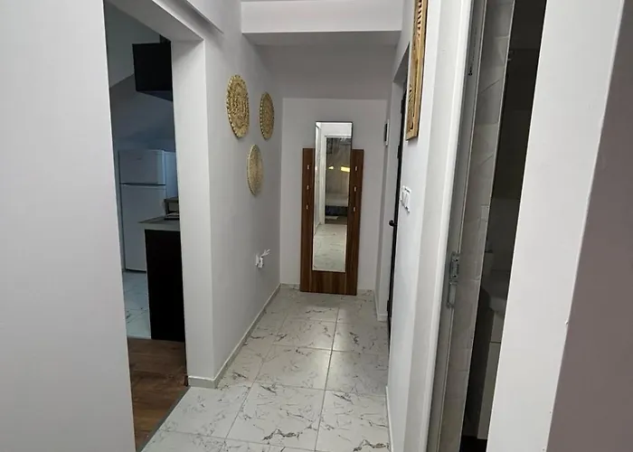 White House - Forest