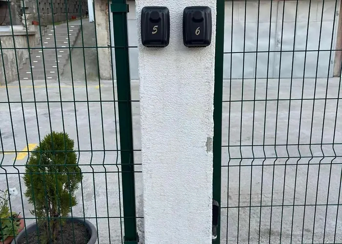 White House - Forest *